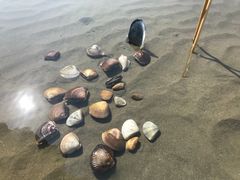 -江山半岛白浪滩景区