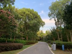 -昆山城市生态森林公园