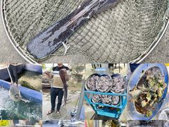 -鸿渡渔庄·特色鸭咀鱼