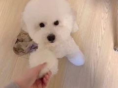 -comecome来吧宠物(奥克斯中心店)