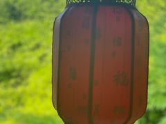 -阿哈湖国家湿地公园