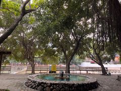 -龙泉山庄