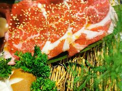 -猫爪爪原切自助烤肉(观音桥阳光世纪店)