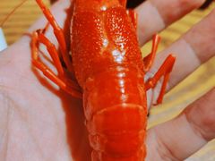 -茅炒屋龙虾·烧烤·湘菜(新河路店)