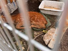 -峄山风景名胜区