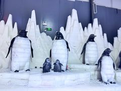 -宁波冰雪大世界(北仑区)