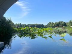 -石湖景区