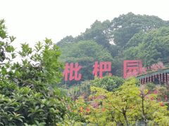 -枇杷园食为鲜火锅(南山店)