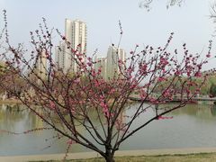 -南翠屏公园