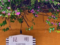 -昆明动物园
