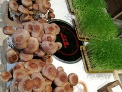 -东门口涮肉·砂锅·烤串(老门东店)
