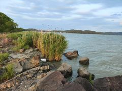 -上海市保健医疗中心