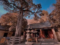 -青岛崂山太清宫