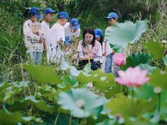 -甲乙果 美术书法(通州校区)