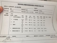-瑞鹏宠物医院·骨科·猫科·内科(第一中心)