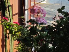 -伊隆斋(什刹海店)