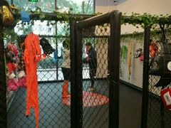 -体育科代表搏击散打体能训练馆(陶然亭店)