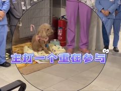 -北京派仕佳德动物医院·超导核磁·CT·神经科·骨科·内外科·急重症管理中心