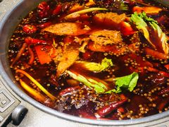 -杨肥肠火锅大排档(火车站花园店)