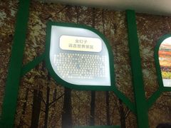 -金钉子远古世界景区