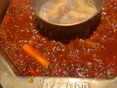 -蜀九香火锅(李家沱店)