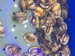 -澜悦港海鲜体验主题餐厅