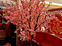 -北京全聚德(西翠路店)