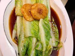 白灼罗马生菜-人间采蜜(海信广场店)