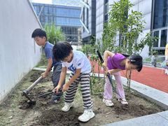 -硅谷蒙学幼儿园