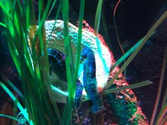 -沈阳海洋探索中心