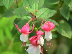 -国家植物园南园