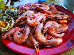 -好伦哥(温都水城店)