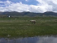-青海湖国家重点风景名胜区