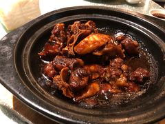 黑松露牛尾-蟹榭·本帮江浙菜·蟹宴(五角场合生汇商场店)