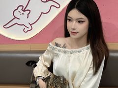 -喵园·猫主题咖啡厅·撸猫·猫咖(国贸店)