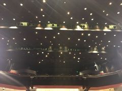 -顺德演艺中心大剧院