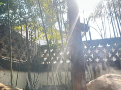 -观唐（国际）度假村温泉