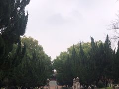 -苏州文庙(姑苏区)