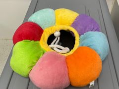 -纳吉亚猫专科动物诊疗中心(蒋宅口分院)