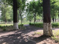 -东郊湿地公园