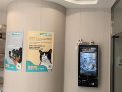 -瑞鹏宠物医院·骨科·猫科·内科(第一中心)