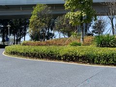 -宝安西湾红树林湿地公园