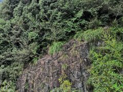 -会稽山峡洞漂流-上青古道