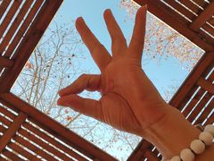 -春晖园度假酒店温泉