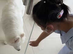 -怪兽屋·羊驼·猫咖·狗咖(俊华广场店)