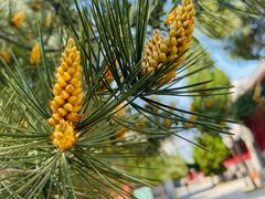 -大钟寺古钟博物馆