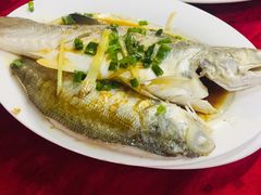 清蒸/红烧马友鱼-蛇口康乐快餐鱼仔档(翠苑小区店)