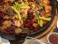 -老板恋上鱼(印象城店)