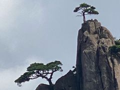 -黄山白云宾馆
