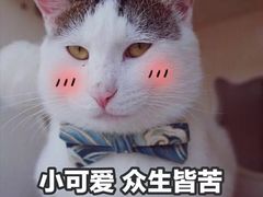 -海底捞火锅(杭州庆春路夜宵主题店)